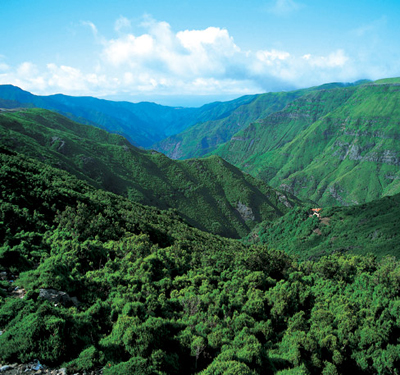 Grünes Inselinnere Madeira