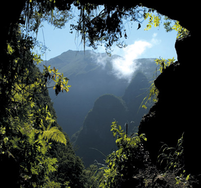 Vereda Verde, Madeira