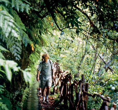 Wandern entlang einer Levada