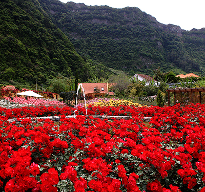 Rosengarten in einer Quinta